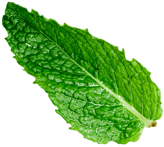 herbal-remedy_34